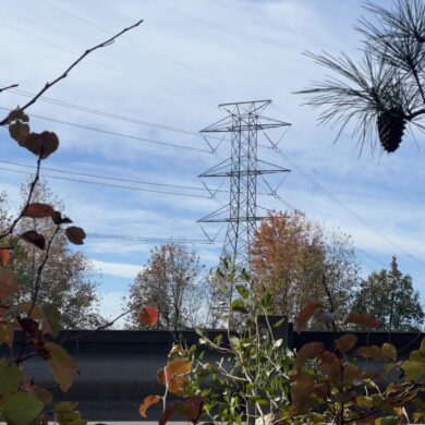 power lines behind a car guardrail and trees in autumn